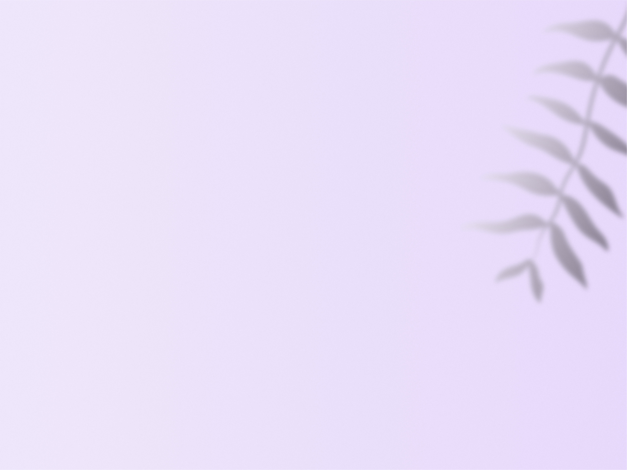 violet Pastel Background silhouette leaves